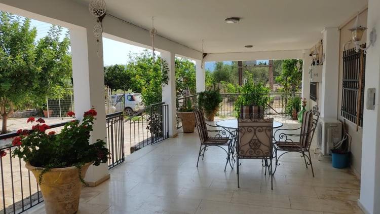 Mallios Country House Near Ancient Olympia Exteriör bild