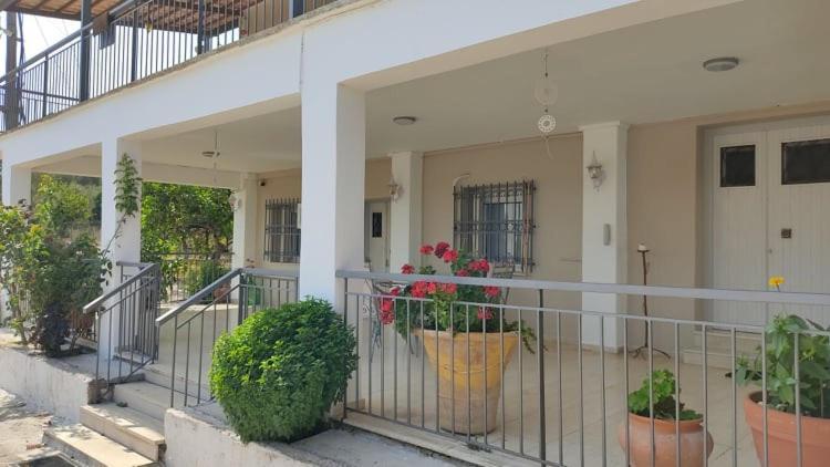 Mallios Country House Near Ancient Olympia Exteriör bild
